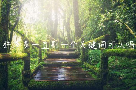 拼多多一直刷一個(gè)關(guān)鍵詞可以嗎